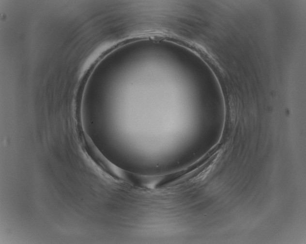 X0000073711422200608171127