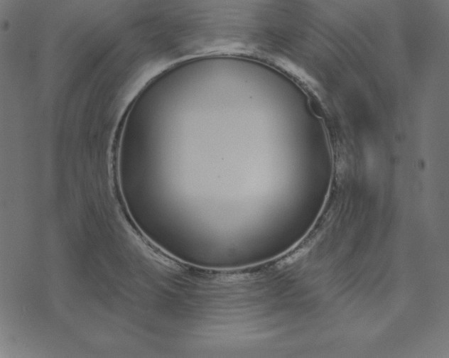 X0000073711423200608171127