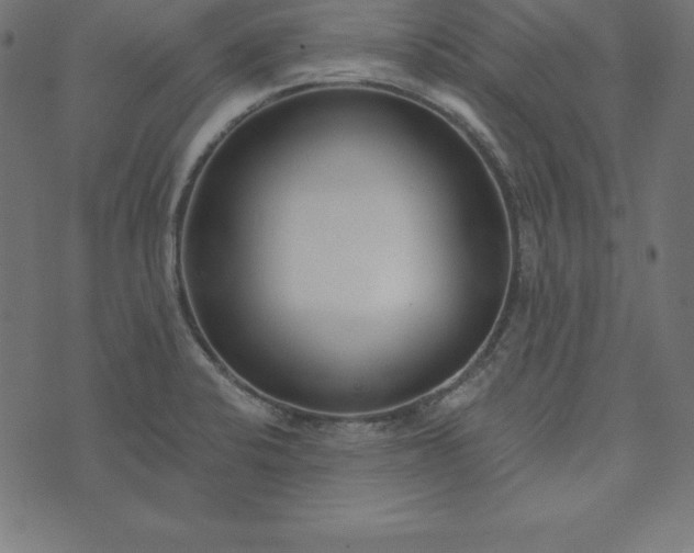 X0000073711424200608171127