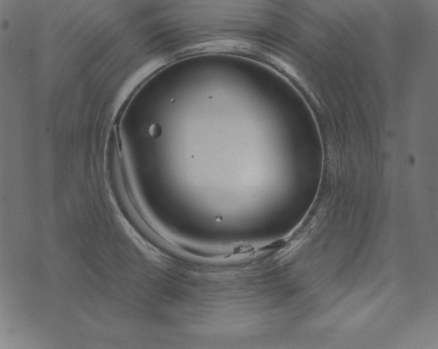 X0000073711426200608171127