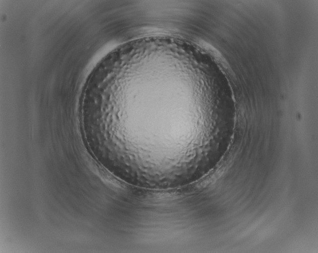 X0000073711427200608171127