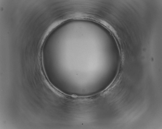 X0000073711429200608171127