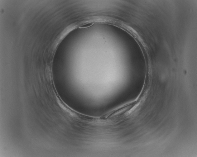 X0000073711433200608171127