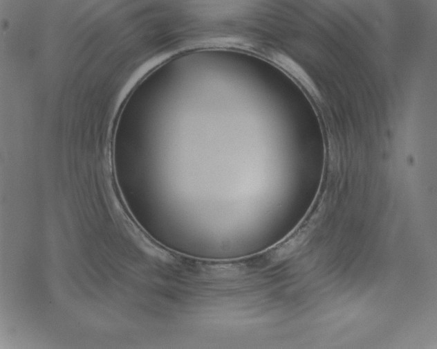 X0000073711436200608171127