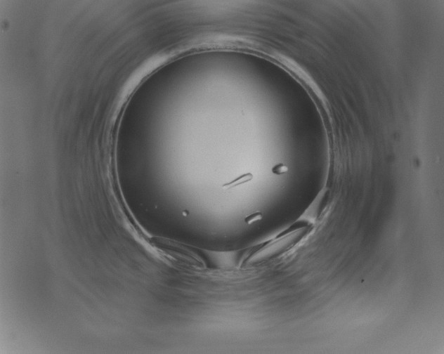 X0000073711437200608171127