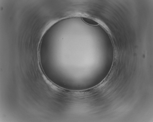 X0000073711439200608171127