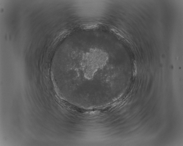 X0000073711441200608171126