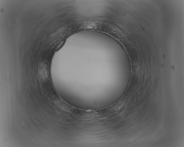 X0000073711442200608171126