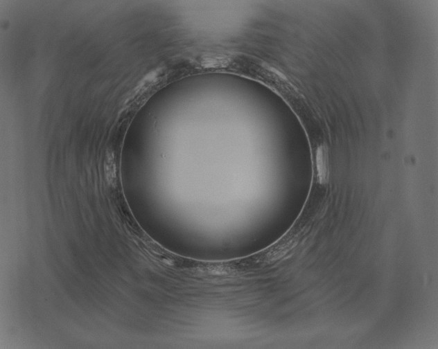 X0000073711443200608171126