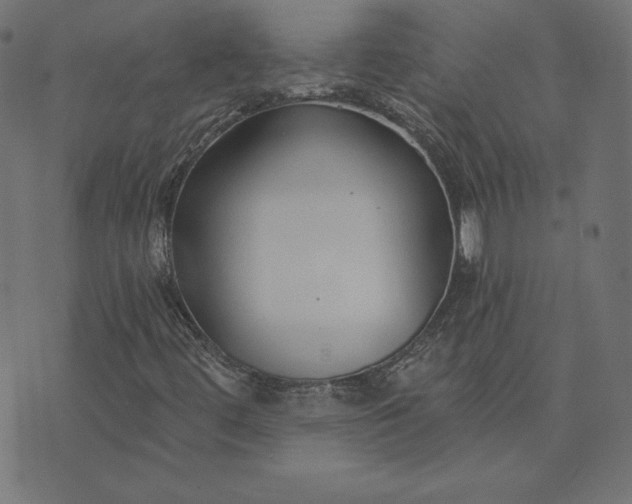 X0000073711444200608171126