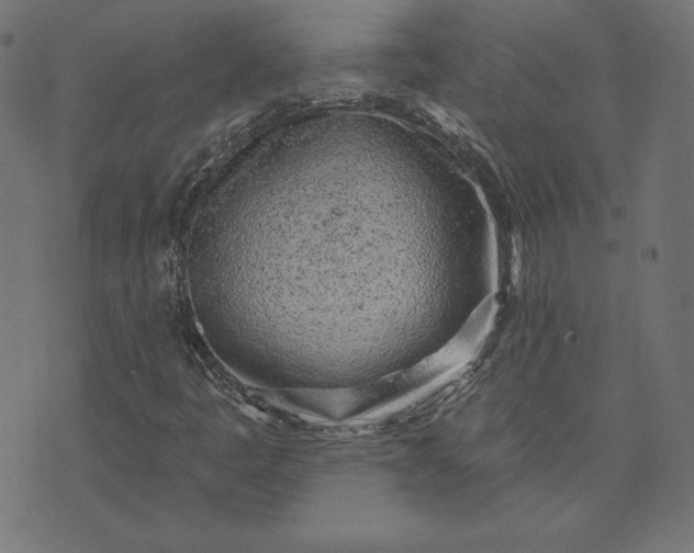 X0000073711445200608171126