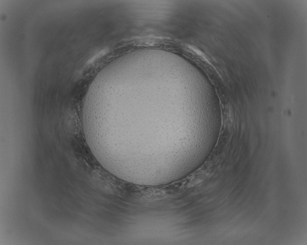 X0000073711446200608171126