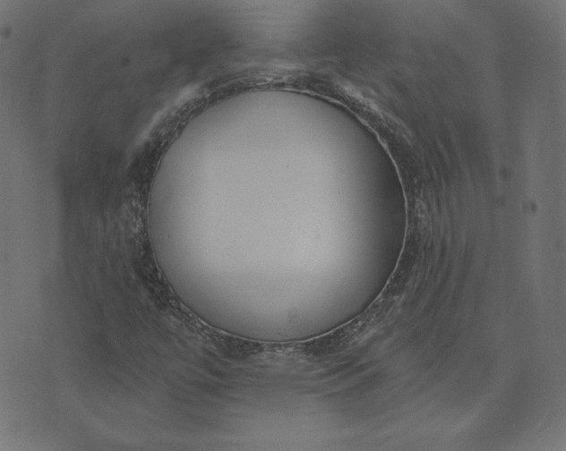 X0000073711447200608171126