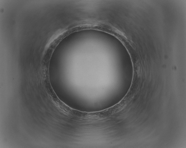 X0000073711448200608171126