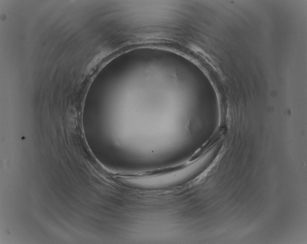 X0000073711449200608171126