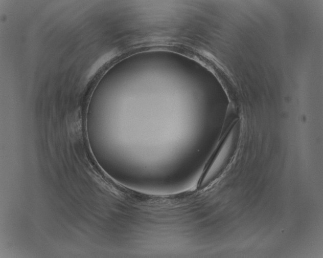 X0000073711450200608171126