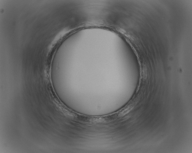 X0000073711454200608171126