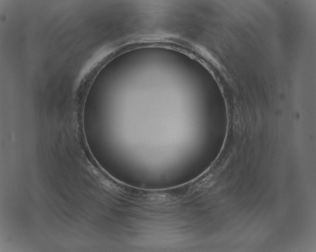 X0000073711456200608171126