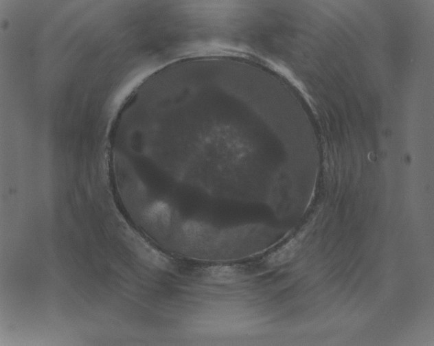 X0000073711463200608171126