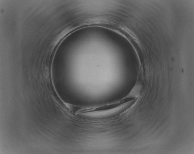 X0000073711465200608171126