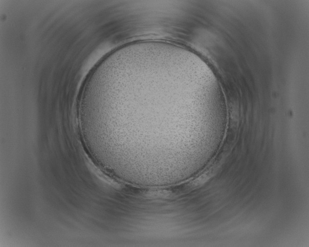 X0000073711466200608171126