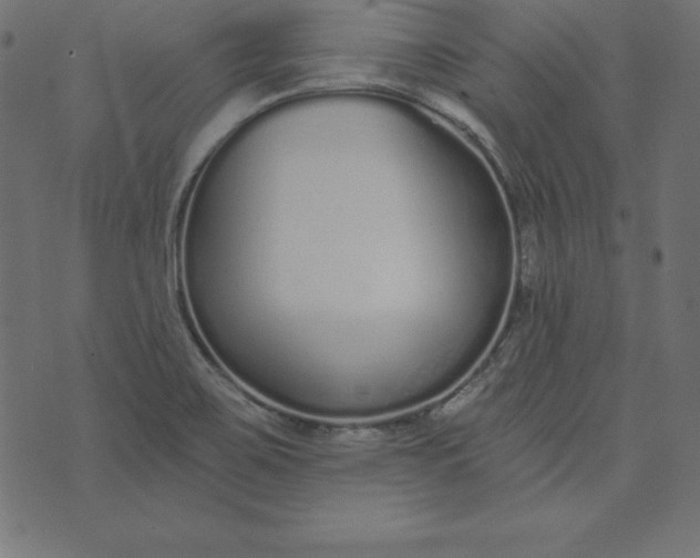 X0000073711467200608171126