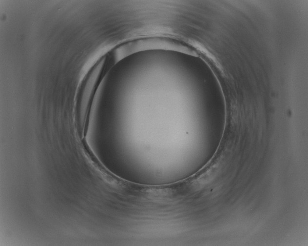 X0000073711469200608171126