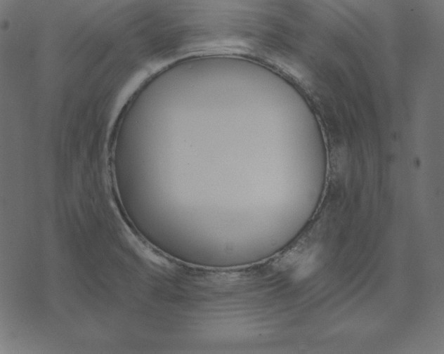 X0000073711470200608171126