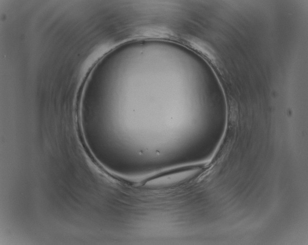 X0000073711471200608171126