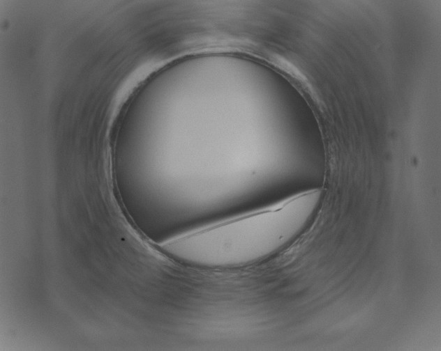 X0000073711472200608171126