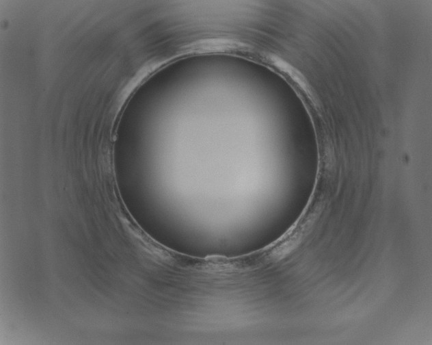 X0000073711473200608171126