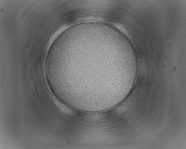 X0000073711474200608171126