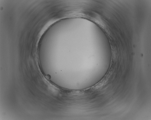 X0000073711478200608171126