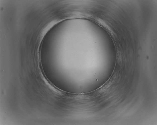 X0000073711479200608171126