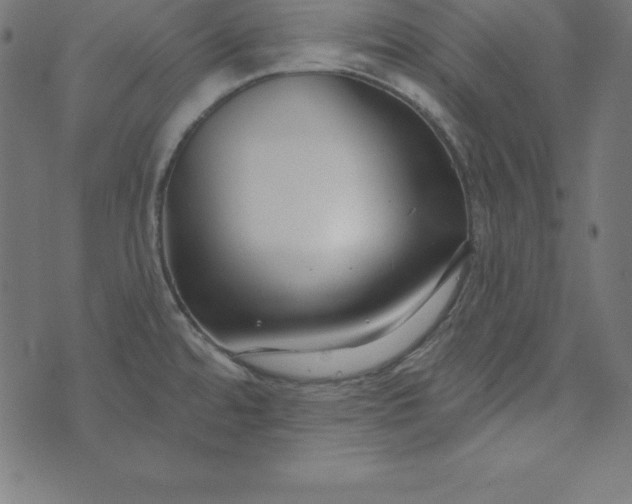 X0000073711480200608171126