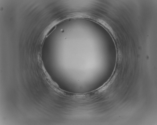 X0000073711481200608171126