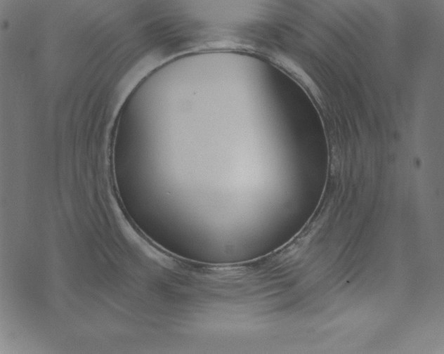 X0000073711483200608171125