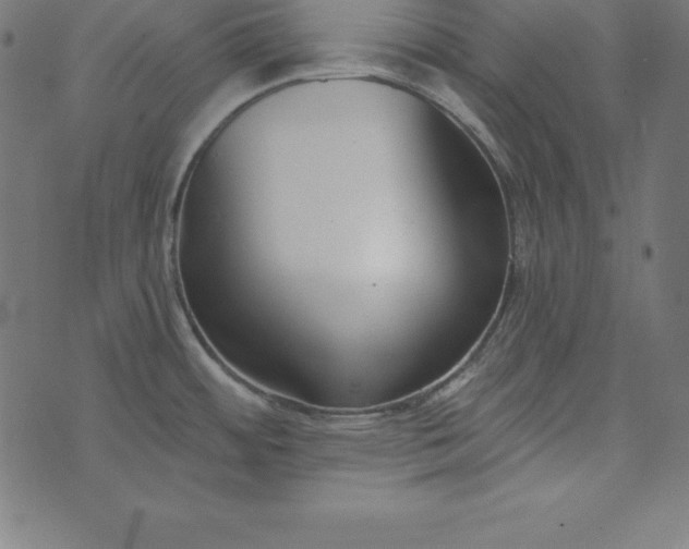 X0000073711484200608171125