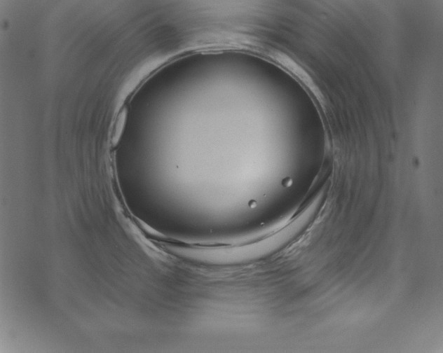 X0000073711485200608171125