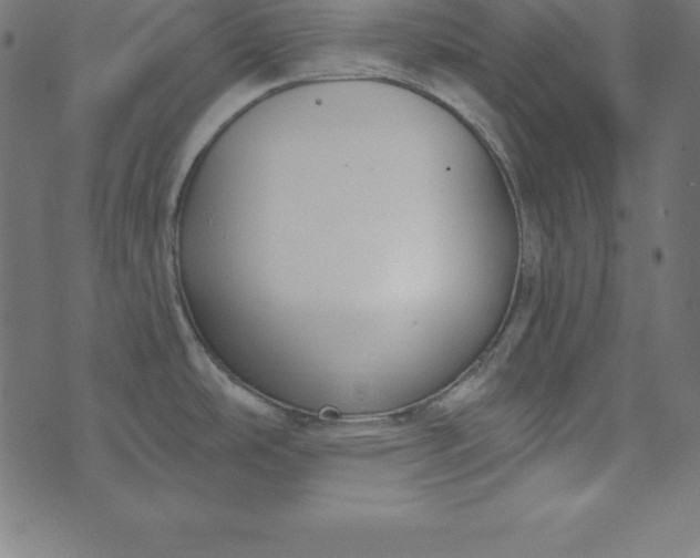 X0000073711486200608171125