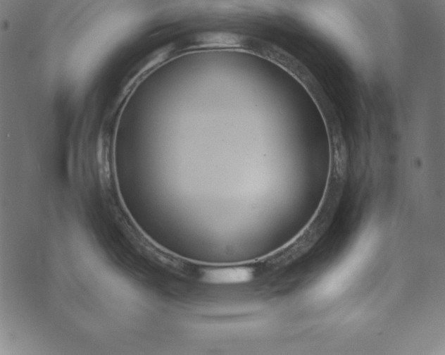 X0000073711487200608171125