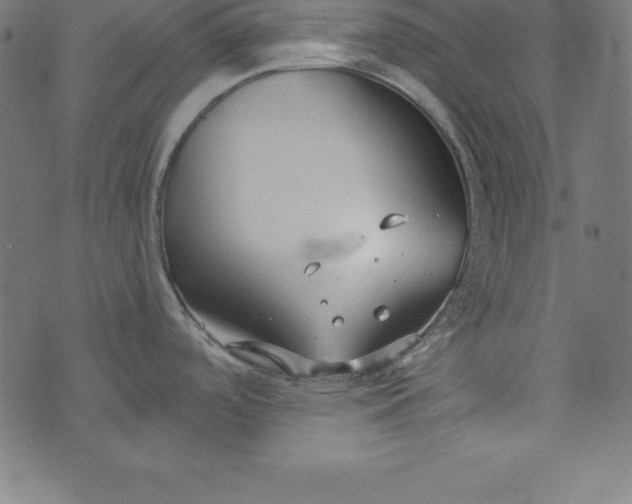 X0000073711488200608171125