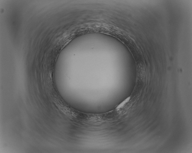 X0000073711489200608171125