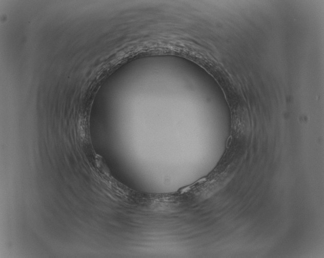 X0000073711490200608171125