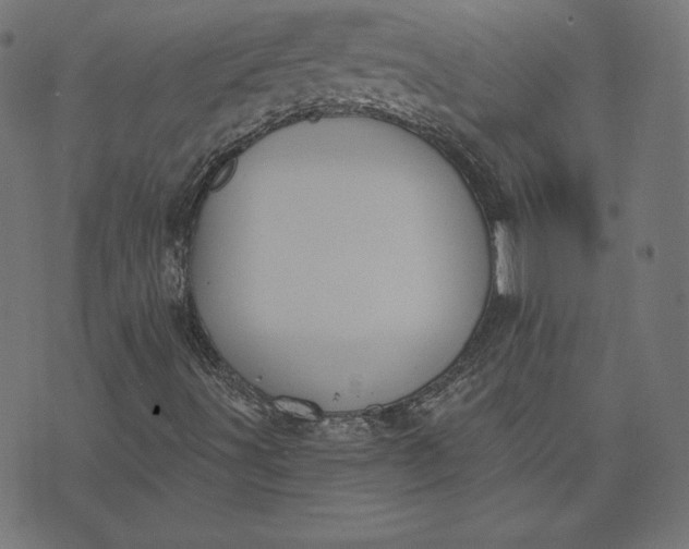 X0000073711491200608171125