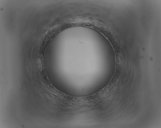 X0000073711493200608171125