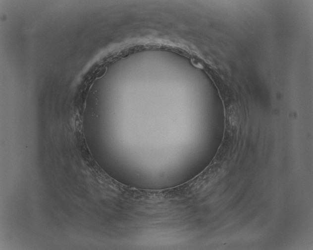 X0000073711495200608171125