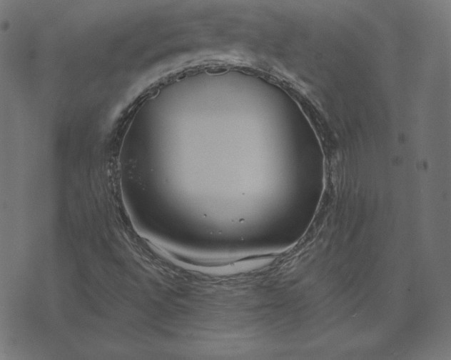 X0000073711496200608171125