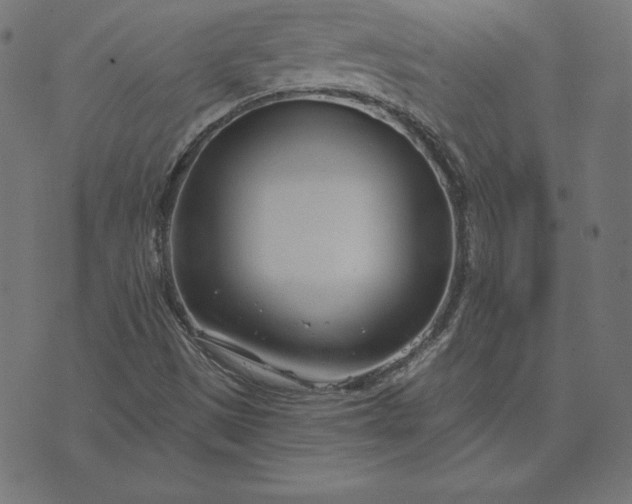 X0000073711497200608171125