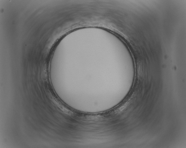 X0000073711498200608171125